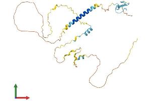 AlphaFold protein structure predicition of Human Recombinant LDLRAD4 Protein, UniprotID O15165