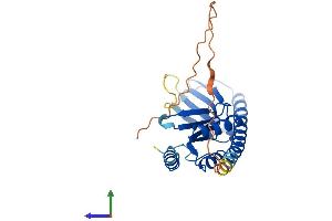 Protein Structure (PS) image for tRNA-YW Synthesizing Protein 3 Homolog (TYW3) (AA 1-257) protein (His tag) (ABIN7558850)