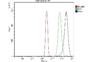 Flow Cytometry analysis of SiHa cells using anti-Poliovirus Receptor/PVR antibody (ABIN7601069).