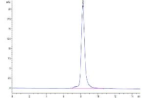The purity of Human FSTL1 is greater than 95 % as determined by SEC-HPLC. (FSTL1 Protein (AA 21-308) (His tag))