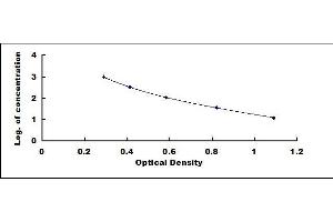 Typical standard curve (NKA ELISA Kit)