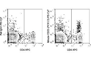 C57Bl/6 splenocytes were stained with APC Anti-Mouse CD4 (ABIN6961614) and 0. (CD25 antibody  (PE-Cy7))