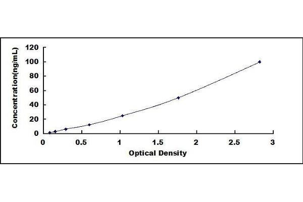 Leptin Receptor ELISA Kit