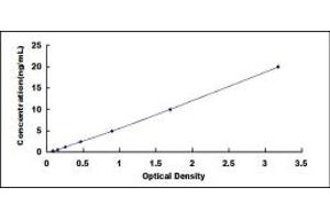 Typical standard curve (GLUD1 ELISA Kit)