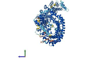 Protein Structure (PS) image for Importin 7 (IPO7) (AA 1-1038) protein (His tag) (ABIN7554176)