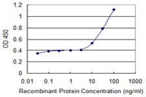 Detection limit for recombinant GST tagged ABCF1 is 3 ng/ml as a capture antibody. (ABCF1 antibody  (AA 642-739))