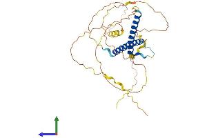 AlphaFold protein structure predicition of Human Recombinant OLIG2 Protein, UniprotID Q13516 (OLIG2 Protein (AA 1-323) (His tag))