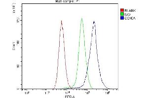 Flow Cytometry analysis of mouse spleen tissues using anti-COX8A antibody .