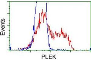 HEK293T cells transfected with either pCMV6-ENTRY PLEK (RC203780) (Red) or empty vector control plasmid (Blue) were immunostained with anti-PLEK mouse monoclonal (ABIN2453488), and then analyzed by flow cytometry.