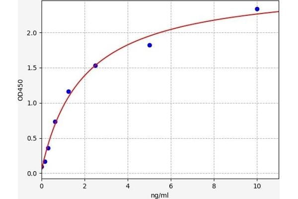 VHL ELISA Kit