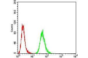 Flow cytometric analysis of *** cells using *** mouse mAb (green) and negative control (red). (Histone Cluster 2, H3c (HIST2H3C) (acLys27) antibody)