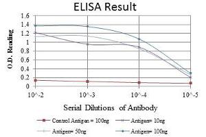 Red: Control Antigen (100 ng), Purple: Antigen (10 ng), Green: Antigen (50 ng), Blue: Antigen (100 ng), (Lamin A/C antibody)