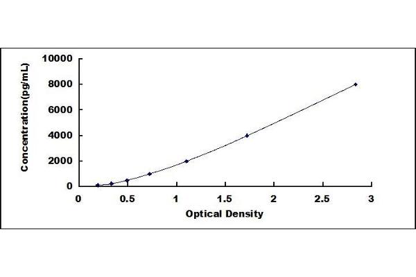 AMPD2 ELISA Kit