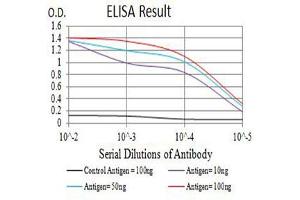 Black line: Control Antigen (100 ng),Purple line: Antigen (10 ng), Blue line: Antigen (50 ng), Red line:Antigen (100 ng) (CD40 Ligand antibody  (AA 47-261))