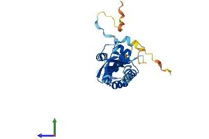AlphaFold protein structure predicition of Mouse Recombinant Kctd1 Protein, UniprotID Q5M956 (KCTD1 Protein (AA 1-257) (His tag))