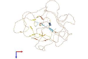 AlphaFold protein structure predicition of Human Recombinant POM121B Protein, UniprotID A6NF01 (POM121B Protein (AA 1-834) (His tag))