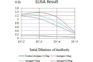 Black line: Control Antigen (100 ng),Purple line: Antigen (10 ng), Blue line: Antigen (50 ng), Red line:Antigen (100 ng) (KAT6B antibody  (AA 1186-1318))