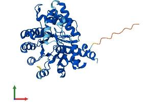 AlphaFold protein structure predicition of Human Recombinant ADAL Protein, UniprotID Q6DHV7