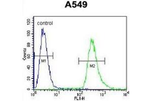 Flow cytometric analysis of A549 cells using Endoplasmin / HSP90B1 / TRA1 Antibody (Center) Cat. (GRP94 antibody  (Middle Region))