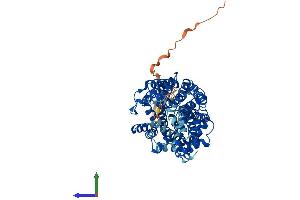 AlphaFold protein structure predicition of Mouse Recombinant Slc6a3 Protein, UniprotID Q61327