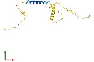 AlphaFold protein structure predicition of Human Recombinant C10orf105 Protein, UniprotID Q8TEF2 (C10orf105 Protein (AA 1-133) (His tag))