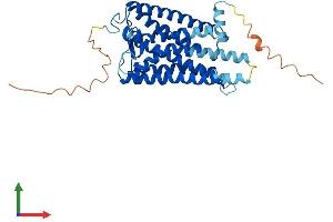 AlphaFold protein structure predicition of Mouse Recombinant Opn1mw Protein, UniprotID O35599 (OPN1MW Protein (AA 1-359) (His tag))