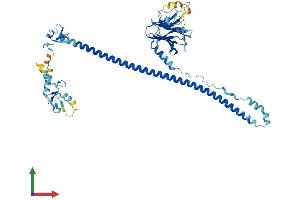 Protein Structure (PS) image for Tripartite Motif Containing 34 (TRIM34) (AA 1-488) protein (His tag) (ABIN7544716)
