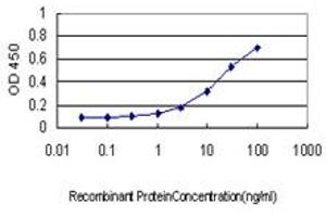 Detection limit for recombinant GST tagged CREG1 is approximately 0. (CREG1 antibody  (AA 121-220))
