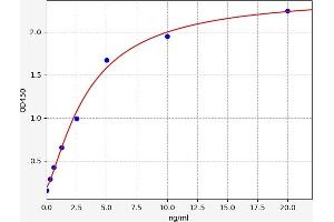 ACTN3 ELISA Kit