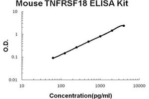 Mouse TNFRSF18/GITR Accusignal ELISA Kit Mouse TNFRSF18/GITR AccuSignal ELISA Kit standard curve. (TNFRSF18 ELISA Kit)