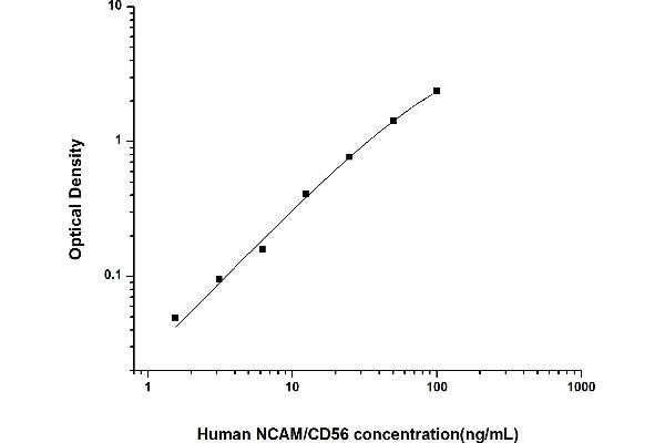 CD56 ELISA Kit