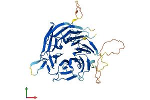 AlphaFold protein structure predicition of Human Recombinant NUP43 Protein, UniprotID Q8NFH3