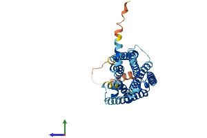 Protein Structure (PS) image for Melanocortin 5 Receptor (MC5R) (AA 1-325) protein (His tag) (ABIN7549278)