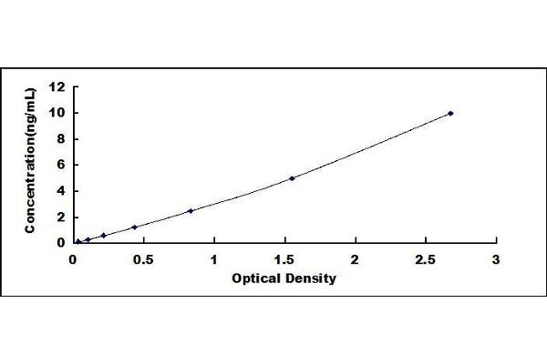 GDF6 ELISA Kit