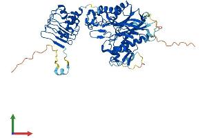 AlphaFold protein structure predicition of Mouse Recombinant Cnot6l Protein, UniprotID Q8VEG6