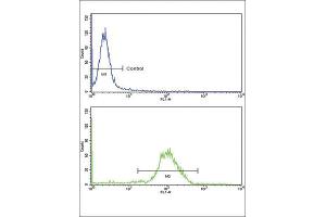Flow Cytometry (FACS) image for anti-Natriuretic Peptide A (NPPA) antibody (ABIN2917623) (NPPA antibody)