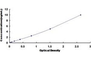 ELISA image for Solute Carrier Family 16, Member 1 (Monocarboxylic Acid Transporter 1) (SLC16A1) ELISA Kit (ABIN6959566)