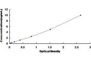 Typical standard curve (SLC16A1 ELISA Kit)