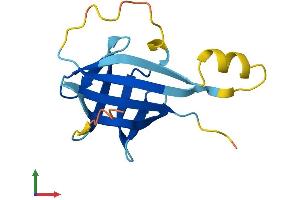 Protein Structure (PS) image for T-Cell Leukemia/lymphoma 1B (TCL1B) (AA 1-128) protein (His tag) (ABIN7544272)