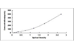 FGF21 ELISA Kit