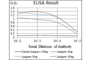 ELISA image for anti-NK2 Homeobox 2 (Nkx2-2) antibody (ABIN1108465) (Nkx2-2 antibody)