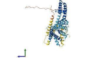 AlphaFold protein structure predicition of Human Recombinant KCNV1 Protein, UniprotID Q6PIU1