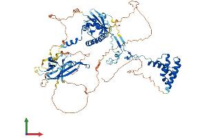 AlphaFold protein structure predicition of Mouse Recombinant Suz12 Protein, UniprotID Q80U70 (SUZ12 Protein (AA 1-741) (His tag))