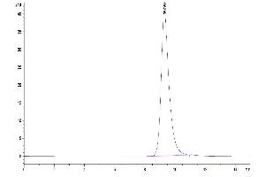 Size-exclusion chromatography-High Pressure Liquid Chromatography (SEC-HPLC) image for neonatal Fc Receptor (FcRn) (AA 22-297) protein (His tag) (ABIN7274677)