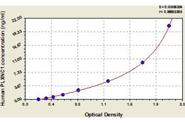 Plexin C1 ELISA Kit