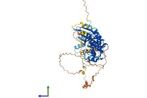 Protein Structure (PS) image for Calcium/calmodulin-Dependent Protein Kinase IG (CAMK1G) (AA 1-477) protein (His tag) (ABIN7559983)