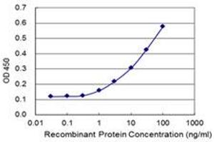 Detection limit for recombinant GST tagged SLC7A6OS is 0. (SLC7A6OS antibody  (AA 1-309))