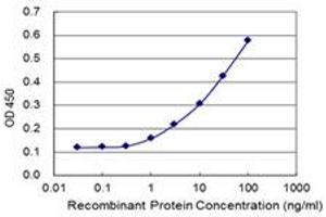 Detection limit for recombinant GST tagged SLC7A6OS is 0. (SLC7A6OS antibody  (AA 1-309))