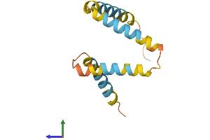 AlphaFold protein structure predicition of Human Recombinant TMEM14C Protein, UniprotID Q9P0S9 (Transmembrane Protein 14C (TMEM14C) (AA 1-112) protein (His tag))