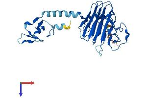 Ret Finger Protein-Like 4A (RFPL4A) (AA 1-287) protein (His tag)
